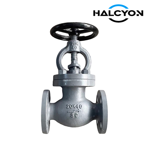 JIS F7313 Globe Valve